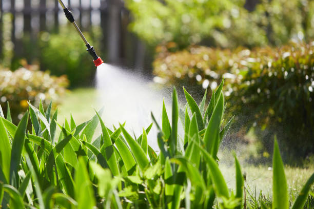 24/7 Emergency Ant Control experts in McConnellsburg, PA
